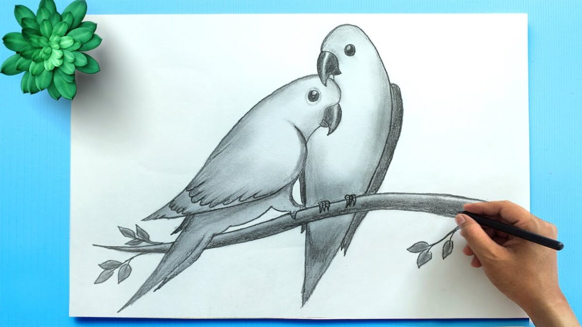 How to Draw a Bird